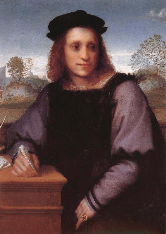 Andrea del Sarto Potrait of man oil painting image